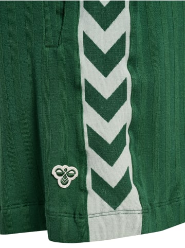 Hummel Kurze Hose Hmlarchive Erwachsene in EDEN
