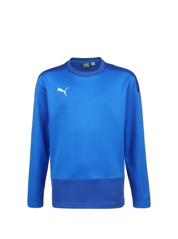 Puma Sweatshirt TeamGOAL 23 in blau / dunkelblau