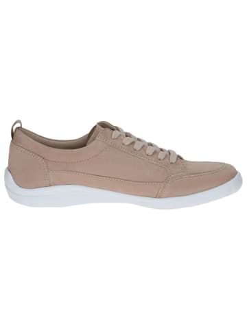 Caprice Sneaker in CREAM SUEDE