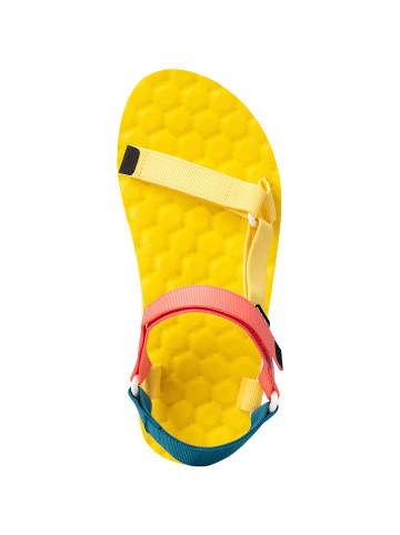 Lizard W TRAILMAX in Hellblau