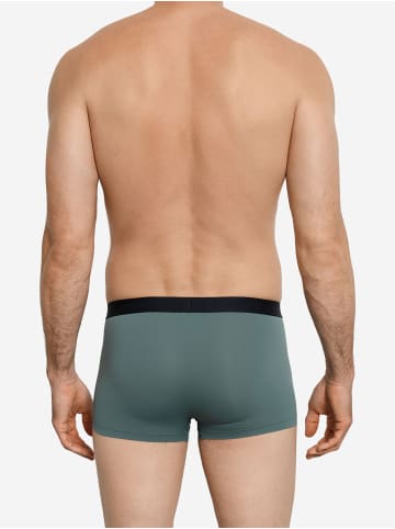 Hanro Retro Pants Micro Touch in studio green