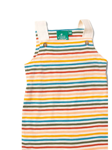 Little Green Radicals Storytime Latzhose Shorts in Bunt
