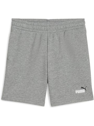 Puma Sporthose "ESS 2 COLOR No.1 Logo Shorts TR B" in Grau