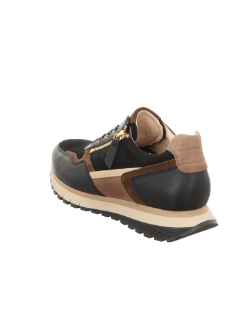 Gabor Comfort Schnürschuh in schwarz