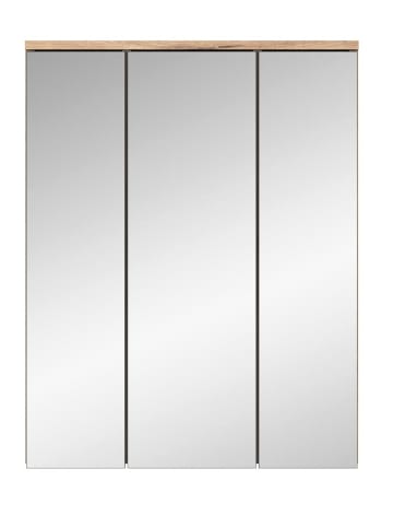ebuy24 Spiegelschrank Mason Eiche 60 x 18 cm