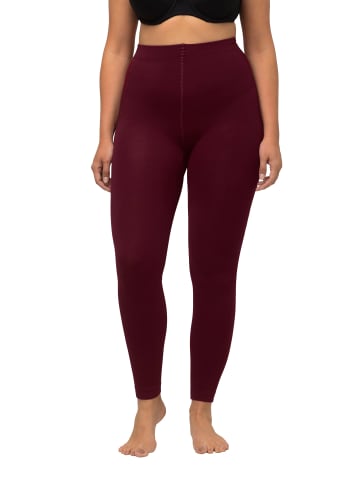 Ulla Popken Strumpfhose in bordeauxrot