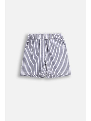Coccodrillo Kurze Hosen in bunt