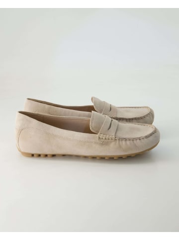 Terry Slipper in Beige