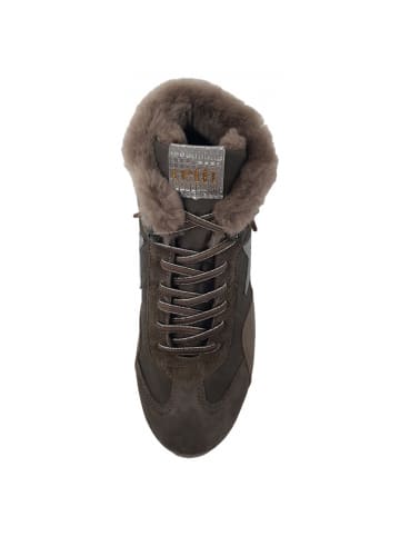 Cetti Kurzstiefel Ante Sweet in Beige