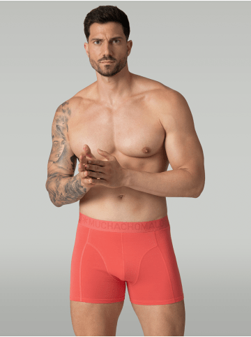 Muchachomalo 7er-Set: Boxershort in Mehrfarbig - für Herren