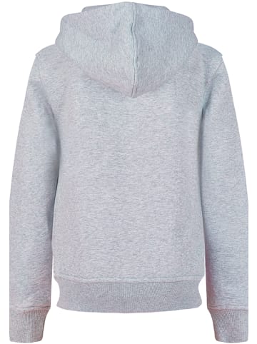 F4NT4STIC Hoodie in heather grey