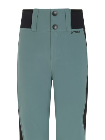 Protest " PRTPROUD JR in Evergreen