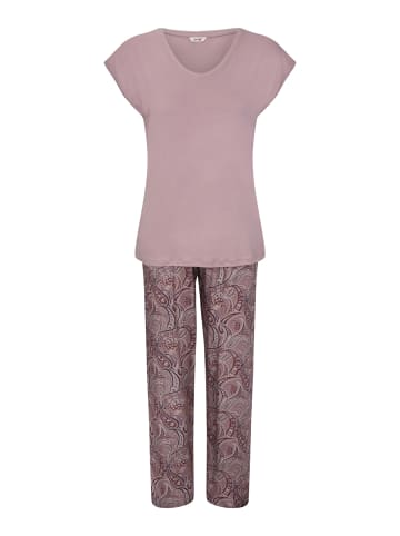 Goldenbay Pyjama Allium in Damson Plum