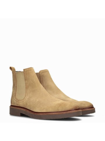 POELMAN Poelman HUDSON Herren Chelsea-Boots