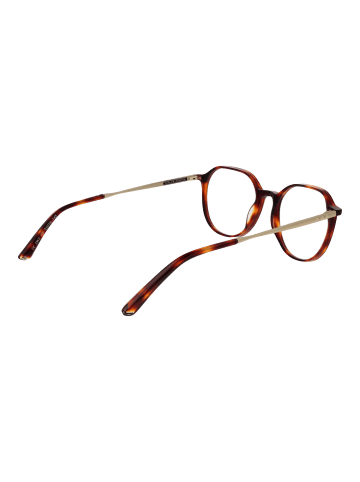 Taylor Morris Unisex Optische Fassungen Panto Braun