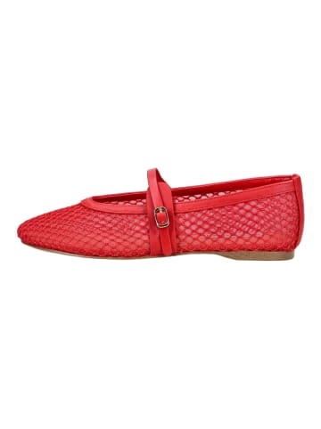 Steve Madden Ballerinas in Cherry