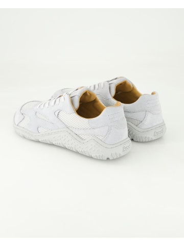 KOEL Barfußschuhe in Grau