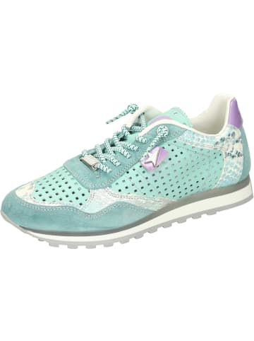 Cetti Sneakers Low in aqua