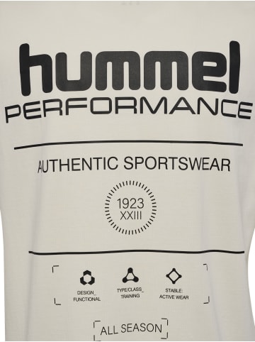Hummel Hummel T-Shirt Hmlhiit Multisport Herren in TOFU