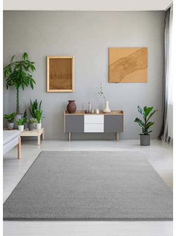 Atticgo Kurzflor-Teppich MONTANA in silber