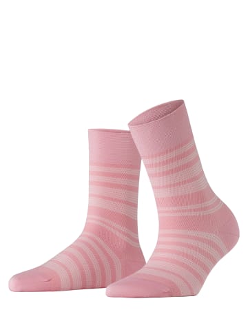 Falke Socken Sensitive Sunset Stripe in Rose