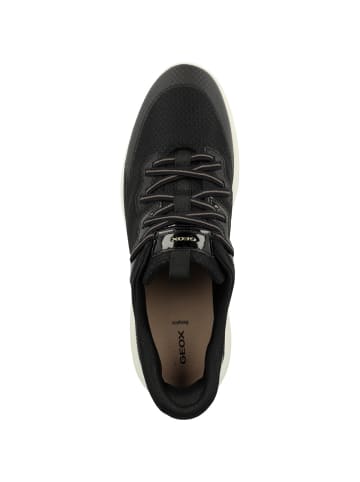Geox Sneaker low D Plummery Plus in schwarz