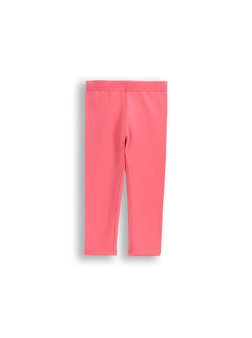 Coccodrillo Leggings mit langem bein in rosa