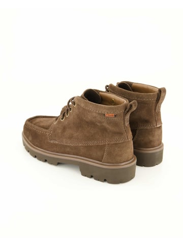 Clarks Stiefeletten in Braun