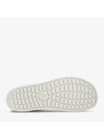 Groundies Sneaker Low in grau