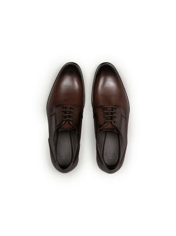 LLOYD Schnürschuh in braun