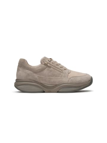 Xsensible Schnürschuhe SWX6 in sand