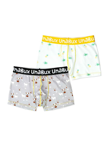 Unabux Boxer Briefs Motiv Mix in COSTA