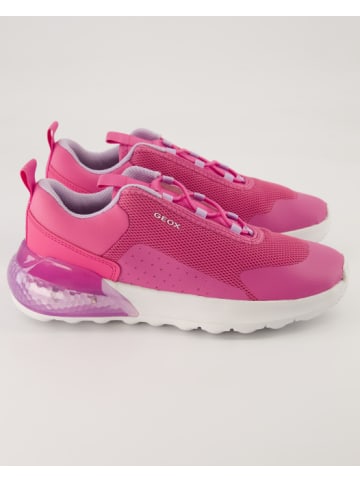 Geox Sneaker in Rosa