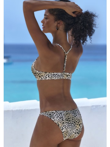 LASCANA Push-Up-Bikini in Tierdruck