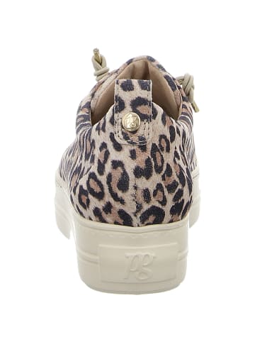 Paul Green Lowtop-Sneaker in leopard beige
