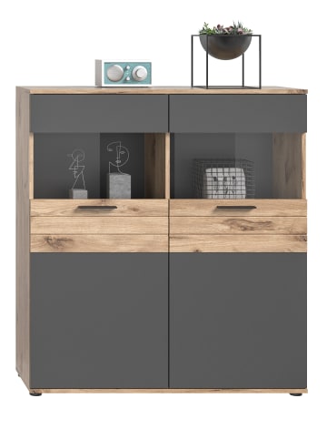 xonox.home Vitrine    (B/H/T: 110x122x37 cm) in Nox Oak Nachbildung und Basalt grau