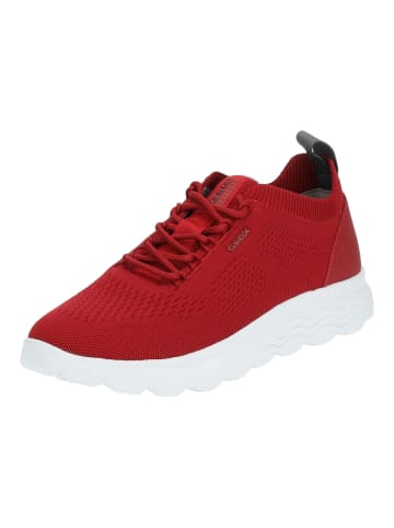 Geox Sneaker in Rot