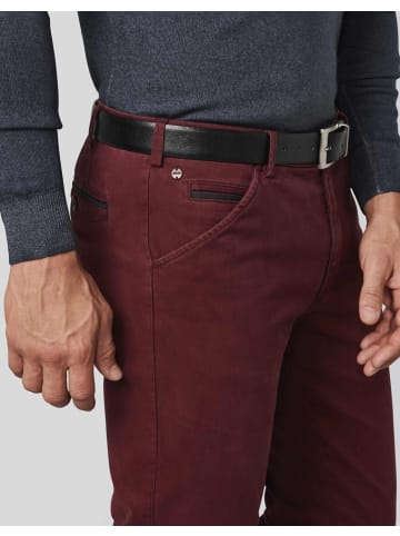 Meyer Gürtel in black-brown