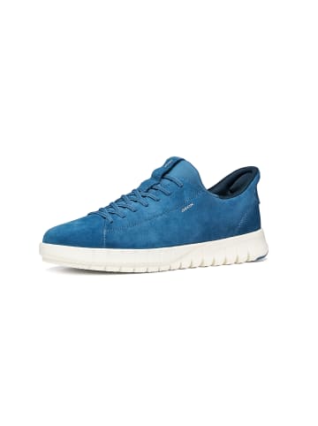 Geox Sneakers Low U Flextride plus in blau