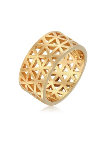 Elli Ring 925 Sterling Silber Ornament in Gold