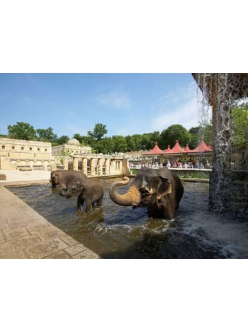 touriDat 4*Fora Hotel Hannover by Mercure