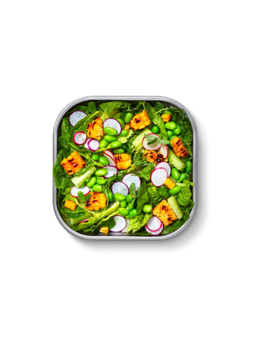 Black+Blum Multifunktions -Lunchbox quadratisch klein, 1,1L