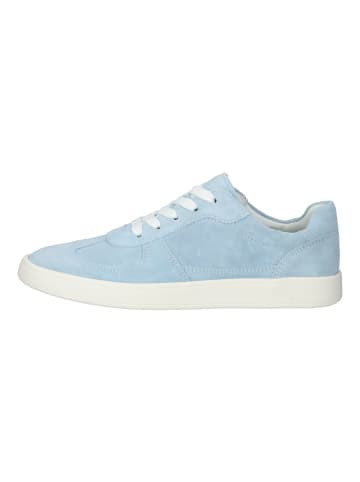 ara Sneaker in Aqua