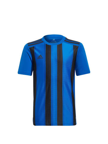 adidas Performance Fußballtrikot Striped 21 in blau / schwarz