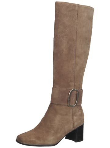 Caprice Stiefel in Taupe