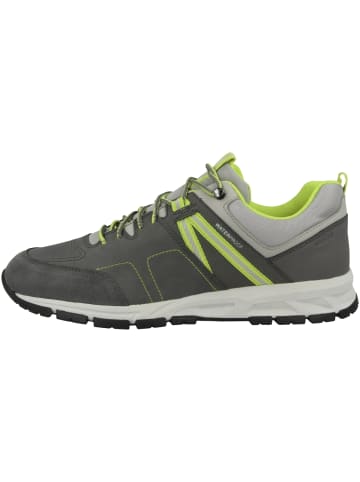 Geox Sneaker low U Delray B WBF A in grau