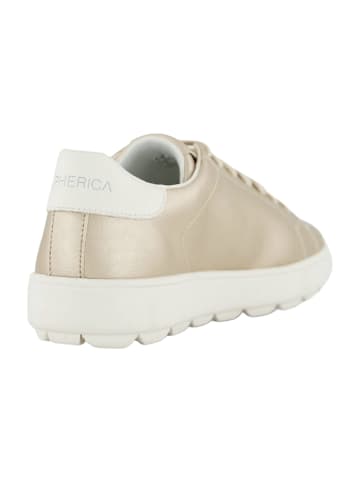 Geox Komfort Schnürschuhe in Gold