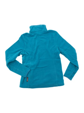 Jack Wolfskin Fleecejacke Gecko Recycled in Blau