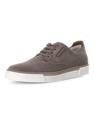 Pius Gabor Sneaker in Braun/Grau