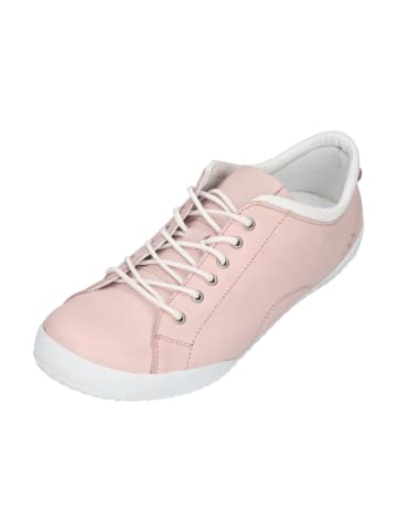 Andrea Conti Sneaker Low 0343636-1875 in rosa